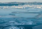 Arctic sea ice hits lowest winter level as heat records are shattered worldwide