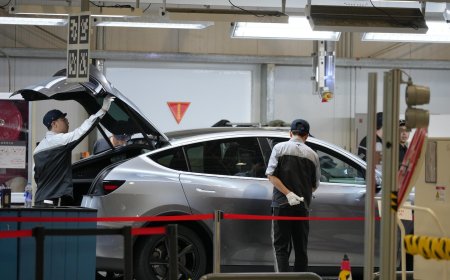 Tesla leader believes Shanghai factory operations will play a role in robot mass production