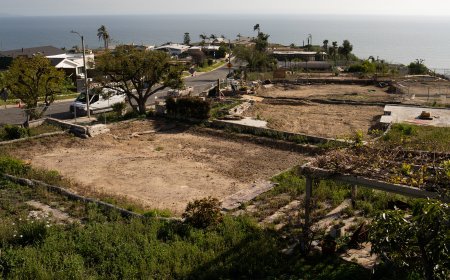 As Los Angeles Rebuilds, a Surge of Experimentation