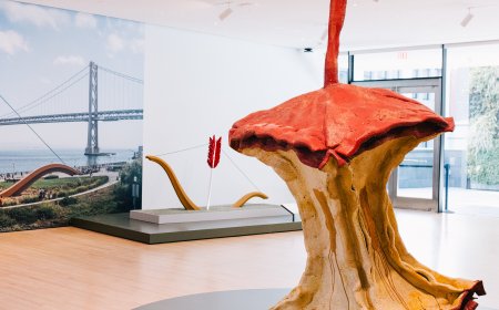 San Francisco’s Modern Art Museum Reimagines the Fisher Collection