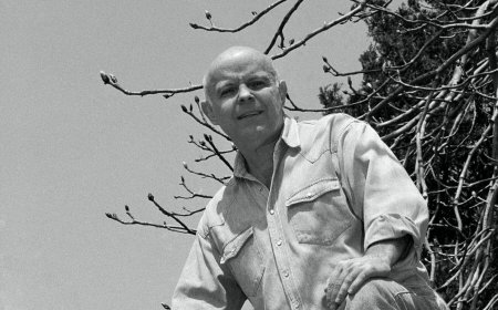 Paul Waldman, Creator and Curator of Art Museum for Birds, Dies at 89