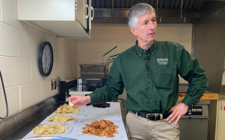 Researchers spent decades breeding better potatoes, and their work isn't done