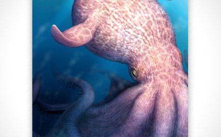 60-foot octopus ruled the seas during age of dinosaurs, fossils show