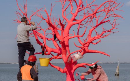 This ‘Sustainable’ Island Is Venice’s Newest Art Oasis