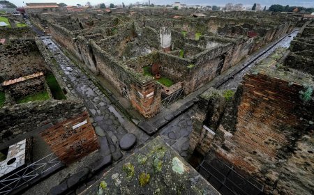 Archaeologists at Pompeii use artificial intelligence to reveal face of one victim