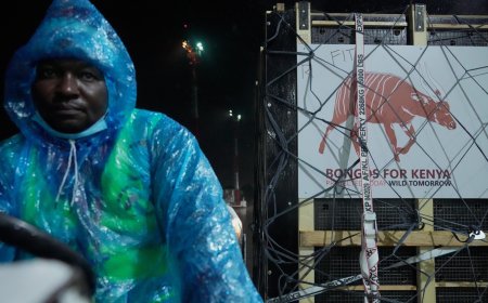 Critically endangered antelopes return to Kenya from Czech zoo
