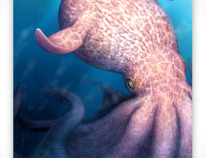 60-foot octopus ruled the seas during age of dinosaurs, fossils show