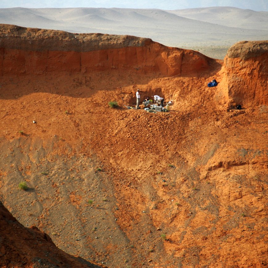 A New Exhibition at New York’s Natural History Museum Honors Fossil Hunters