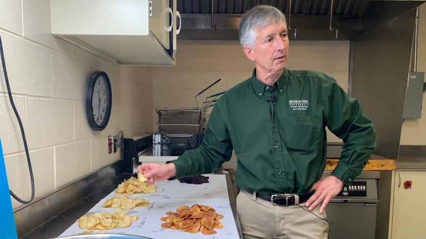 Researchers spent decades breeding better potatoes for chips, and the work isn't done