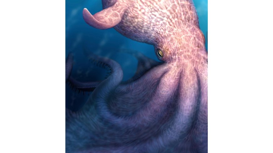 A massive kraken-like octopus may have prowled the seas during the age of dinosaurs