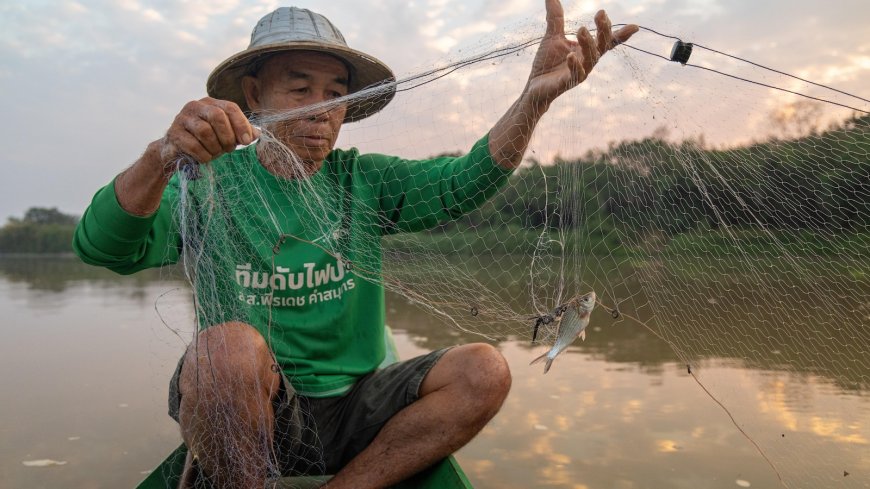 Photos show how toxic runoff from rare earth mines are risking Southeast Asia's rivers