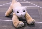 Roomba pioneer aims to crack the household market again with an AI-powered pet robot