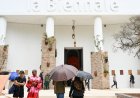 The Venice Biennale and Its Many Flashpoints: An Explainer