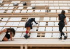 Venice Biennale: Austria, Japan, Belgium and Other Big Hits