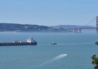 A new whale detection network launches in San Francisco Bay