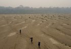 Think it's hot now? The next five years will smash records, UN says
