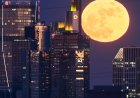 A rare blue micromoon rises this weekend