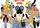 7 Podcasts About the Joys of Bird-Watching