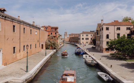 Venice Biennale: In Photos and Video