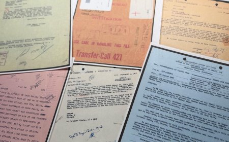 Bright lights and hot orbs: UFO files shed light on sightings but leave interpretation to the public