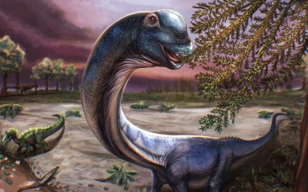 New dinosaur weighing as much as 9 elephants identified by scientists