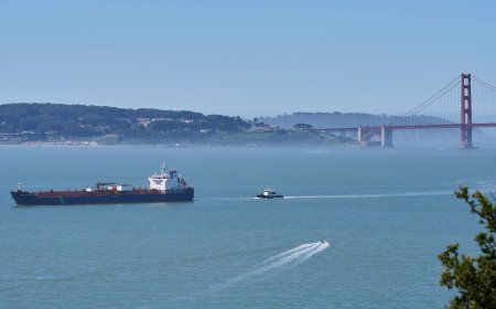 A new whale detection network launches in San Francisco Bay