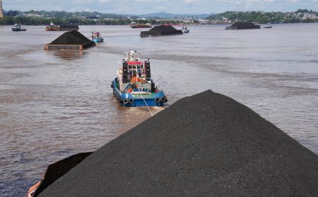 Indonesia tightens control over key commodities in major trade takeover