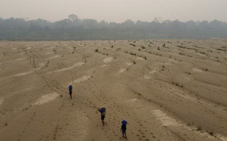Think it's hot now? The next five years will smash records, UN says