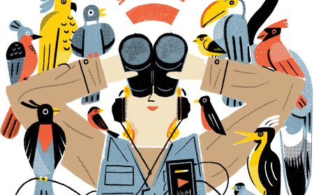 7 Podcasts About the Joys of Bird-Watching