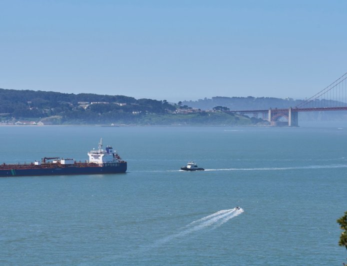 A new whale detection network launches in San Francisco Bay