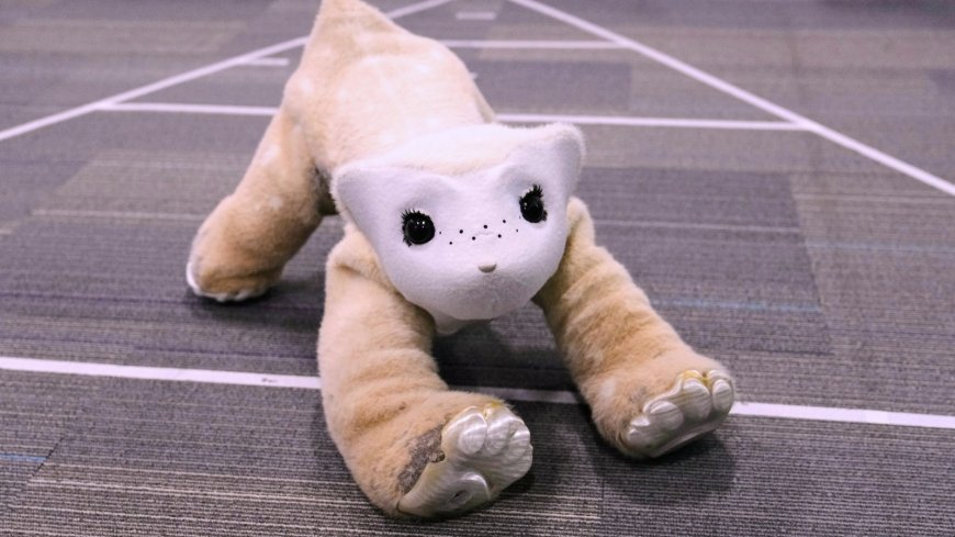 Roomba pioneer aims to crack the household market again with an AI-powered pet robot