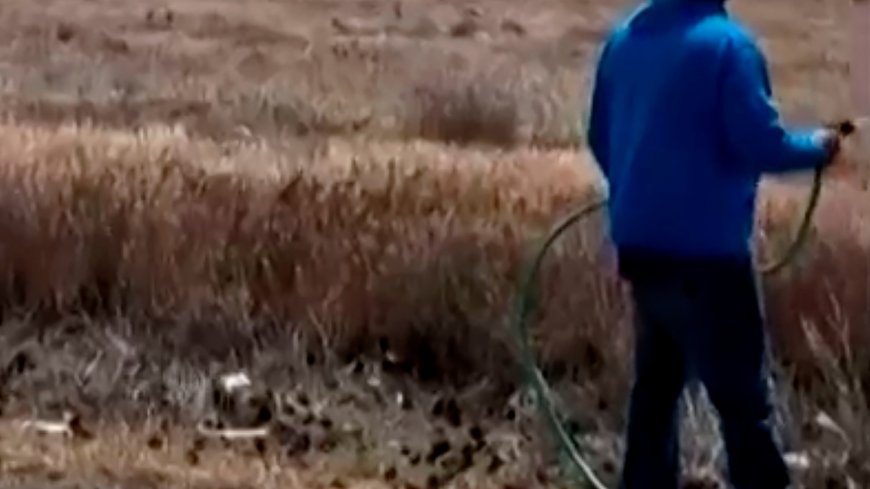 4 crew members eject safely after two Navy jets crash during air show in Idaho