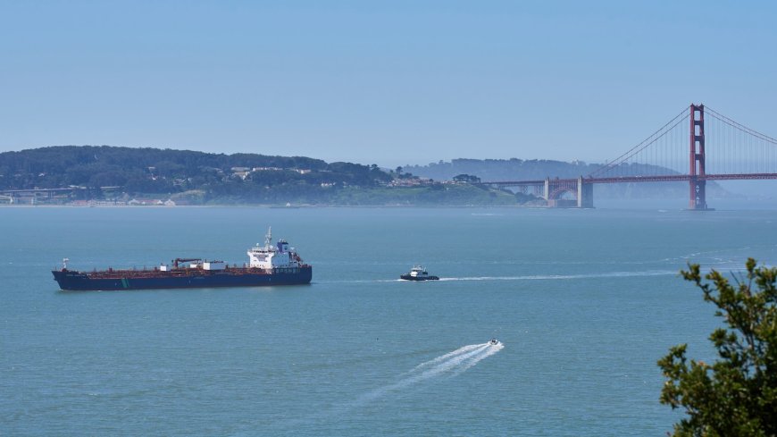 A new whale detection network launches in San Francisco Bay