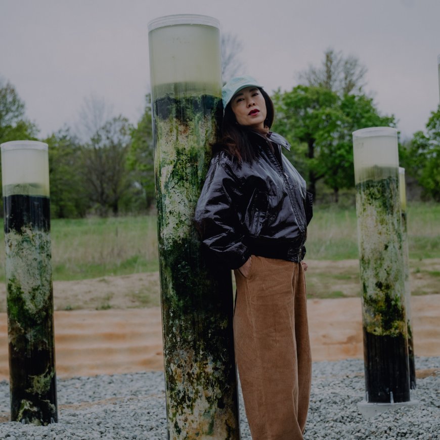 An Artist Ponders Pond Scum, Humans and the Meaning of Life
