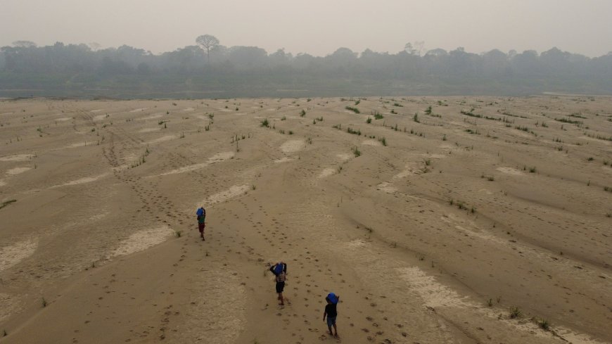 Think it's hot now? The next five years will smash records, UN says