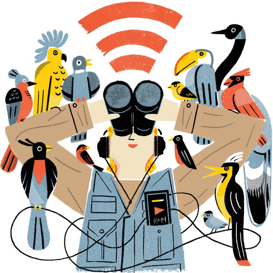 7 Podcasts About the Joys of Bird-Watching