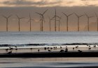 The UK government has set a target of an 87% cut in carbon emissions by 2042