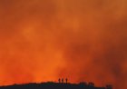 Wildfires are making US smoggy again, reversing progress on cleaner air, study finds
