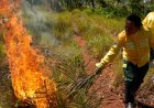 In Brazil’s Cerrado region, Indigenous fire practices reshape wildfire strategy