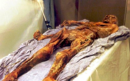 Scientists find yeast in frozen mummy's guts, use it to make bread