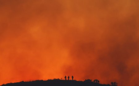 Wildfires are making US smoggy again, reversing progress on cleaner air, study finds