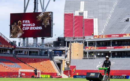 The World Cup pitches are the result of years of engineering to find just the right grass