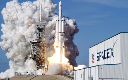 SpaceX wants regular investors to help its stock launch. Here's what to know.