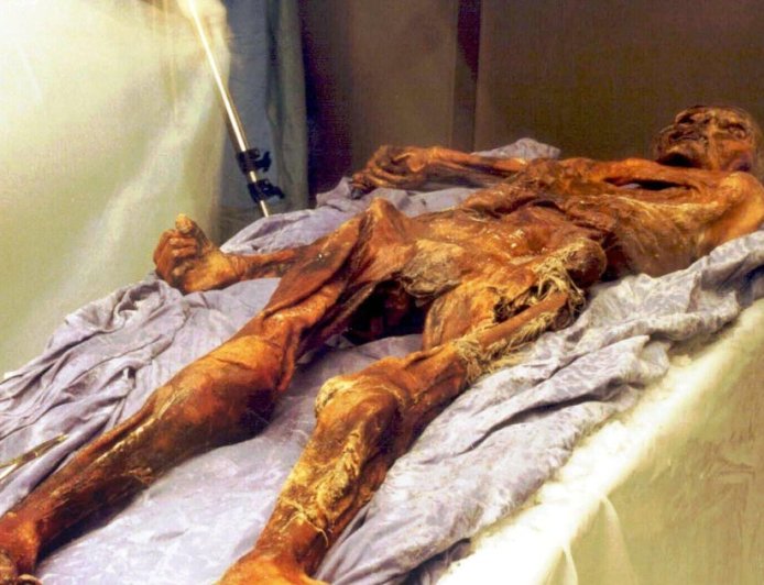 Scientists find yeast in frozen mummy's guts, use it to make bread
