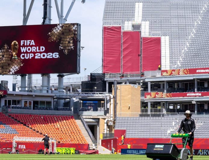 The World Cup pitches are the result of years of engineering to find just the right grass
