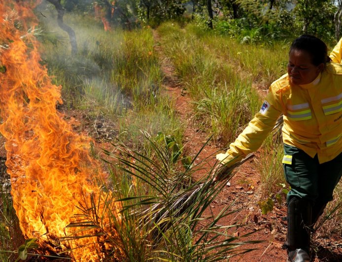 In Brazil’s Cerrado region, Indigenous fire practices reshape wildfire strategy