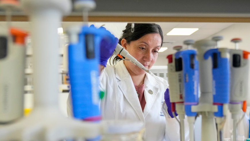 Tools to fight hantavirus show promise despite limited funding. Now researchers hope to continue