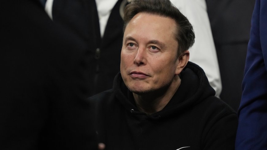 From rockets to brain implants, here's a look at Elon Musk's vast empire