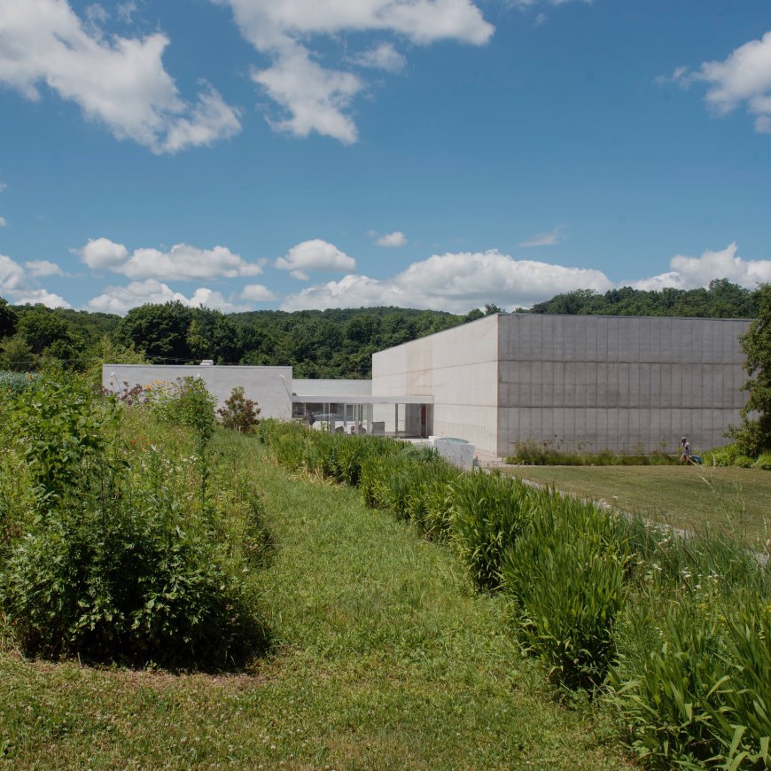 How to Meet 1,500 Artists in 5 Days at Upstate Art Weekend