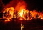 Wildfires are more extreme in Europe and North America